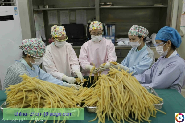 柔术护具消毒要点，清洁流程保障训练安全